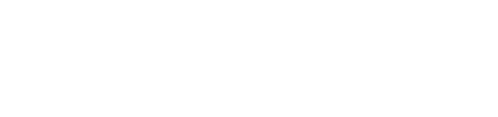 Integral Consulting